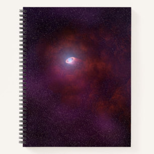 Pulsar Wind From A Neutron Star. Notebook