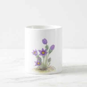 Pulsatilla vulgaris - Customised Coffee Mug