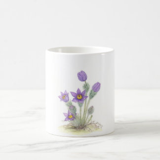 Pulsatilla vulgaris - Customised Coffee Mug