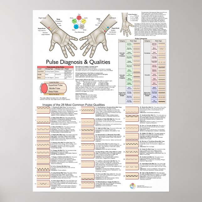 Pulse Diagnosis Acupuncture TCM Poster (Front)