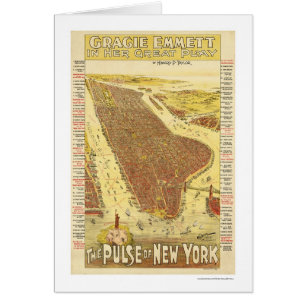 Pulse Of New York Map 1891
