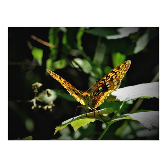"Pulsing Joy" Photo Print (Front)