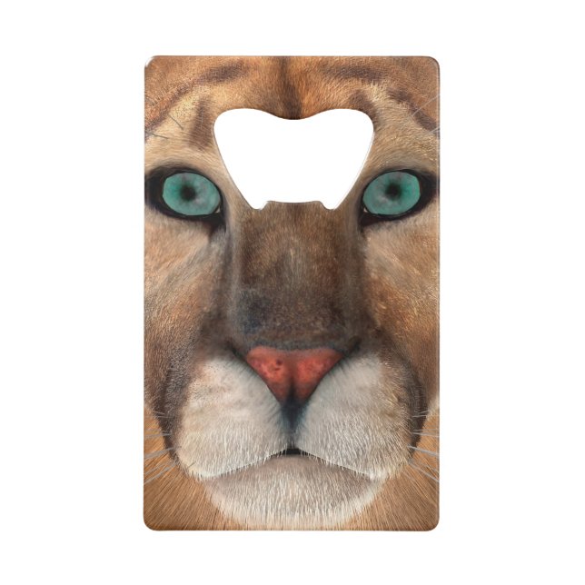 Puma (Front)