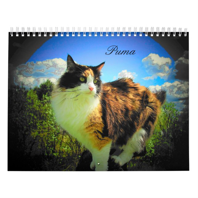 Puma Cat, My Supermodel Calico Updated Calendar (Cover)