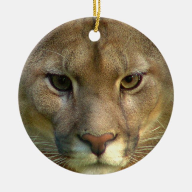 Puma Cat Ornament (Front)