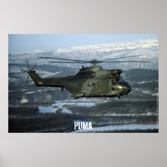 Puma helicopter poster (Front)