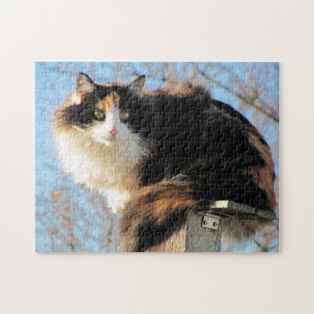 Puma in "Better View" by djoneill Jigsaw Puzzle (Horizontal)