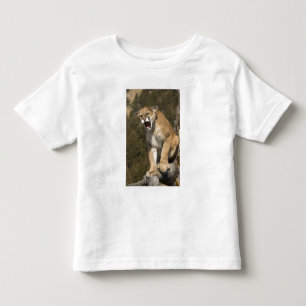 Puma or mountain lion, puma concolor, Captive - Toddler T-Shirt