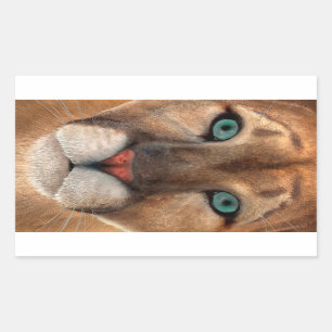 Puma Rectangular Sticker