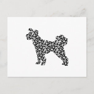 Pumi Postcard