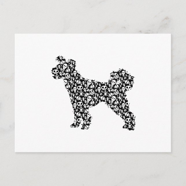 Pumi Postcard (Front)