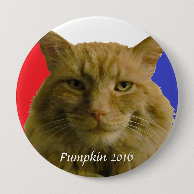 Pumpkin 2016 Election Campaign 10 Cm Round Badge (Front)