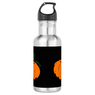 pumpkin 532 ml water bottle