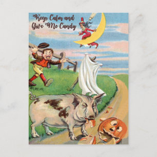Pumpkin Accident with Pig Postcard