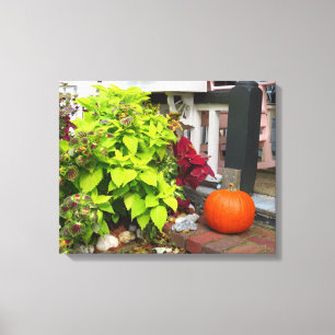 Pumpkin and Coleus - Martha's Vineyard Canvas Print