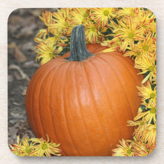 Pumpkin and Fall Flowers Drink Coasters
