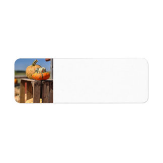Pumpkin and gourd