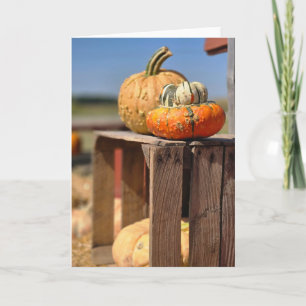 Pumpkin and Gourd card