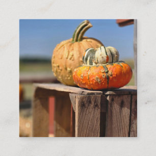 Pumpkin and gourd enclosure card