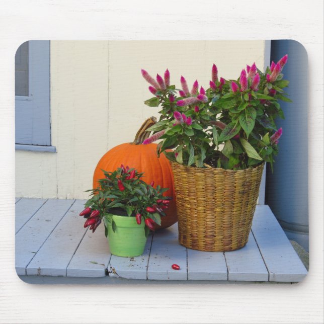 Pumpkin and Pepper Plant - Martha's Vineyard Mouse Mat (Front)