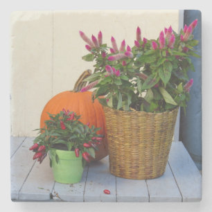 Pumpkin and Pepper Plant - Martha's Vineyard Stone Coaster