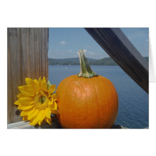 Pumpkin and Sunflower at the Lake