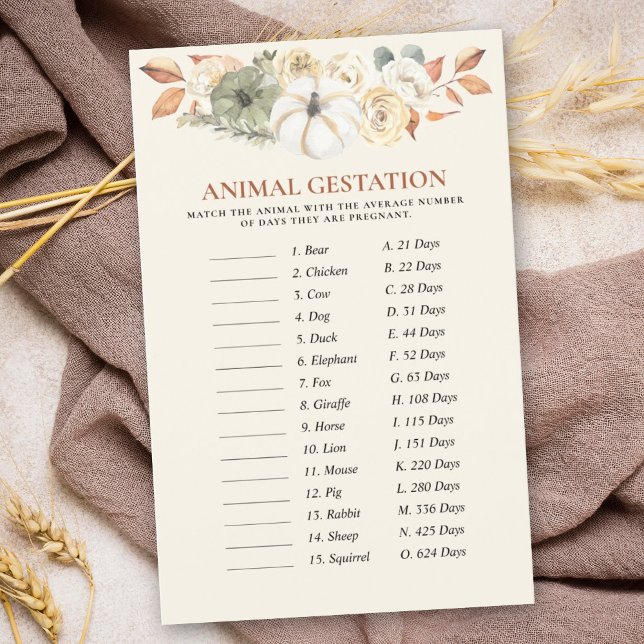 Pumpkin Animal Gestation Baby Shower Games (This delightful game is a wonderful way to celebrate in a fall-themed pumpkin baby shower design.)