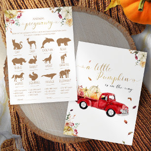 Pumpkin Animal Pregnancy Fall Baby Shower Game Invitation