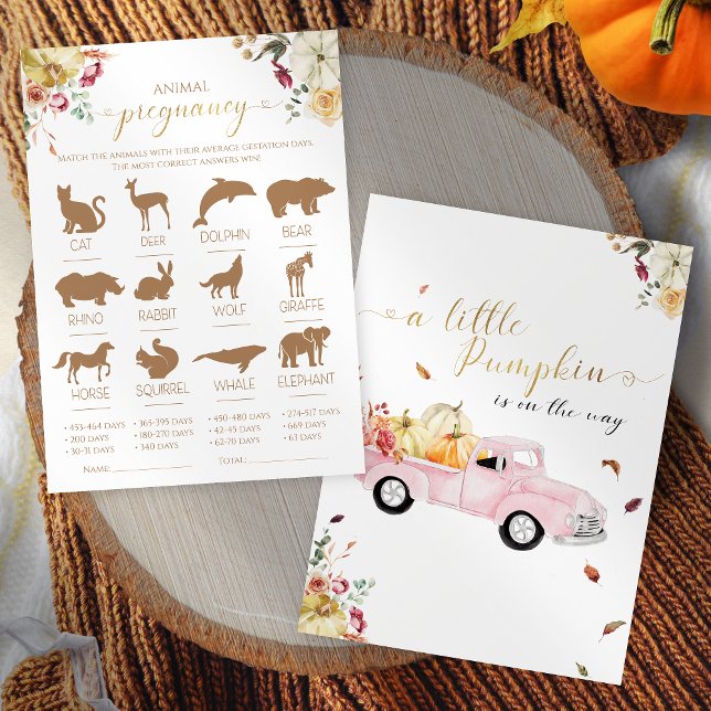 Pumpkin Animal Pregnancy Fall Baby Shower Game Invitation (Creator Uploaded)