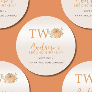 Pumpkin Autumn Fall Second 2nd Birthday  Classic Round Sticker