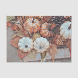 Pumpkin Autumn Orange White Vintage Antique Tissue Paper
