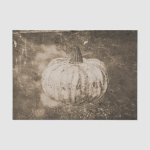 Pumpkin Autumn Vintage White Sepia Texture Tissue Paper
