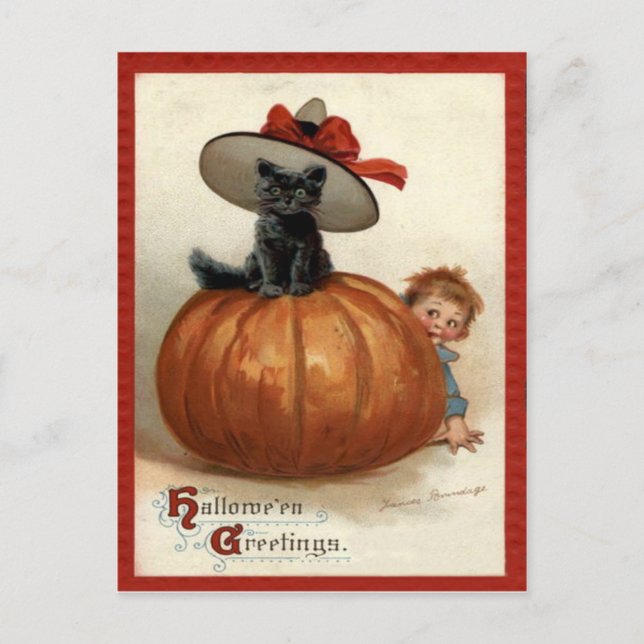 Pumpkin Black Cat Boy Frances Brundage Postcard (Front)