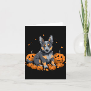 Pumpkin Blue Heeler Costume Australian Cattle Dog Card