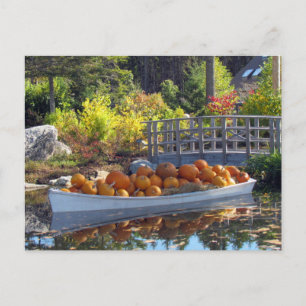 Pumpkin Boat Postcard