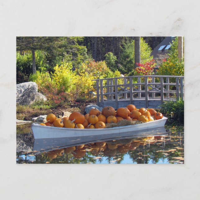 Pumpkin Boat Postcard (Front)
