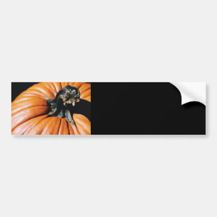 Pumpkin Bumper Sticker