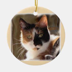 Pumpkin Ceramic Ornament