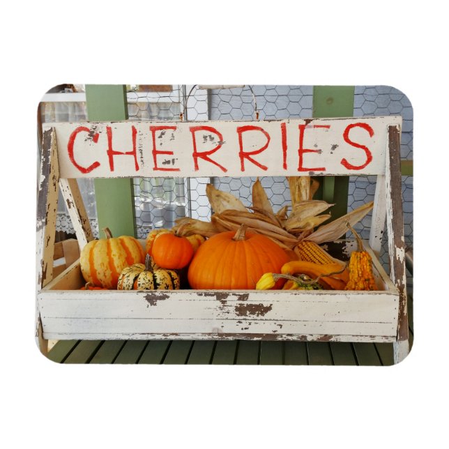 Pumpkin Cherries Magnet (Horizontal)