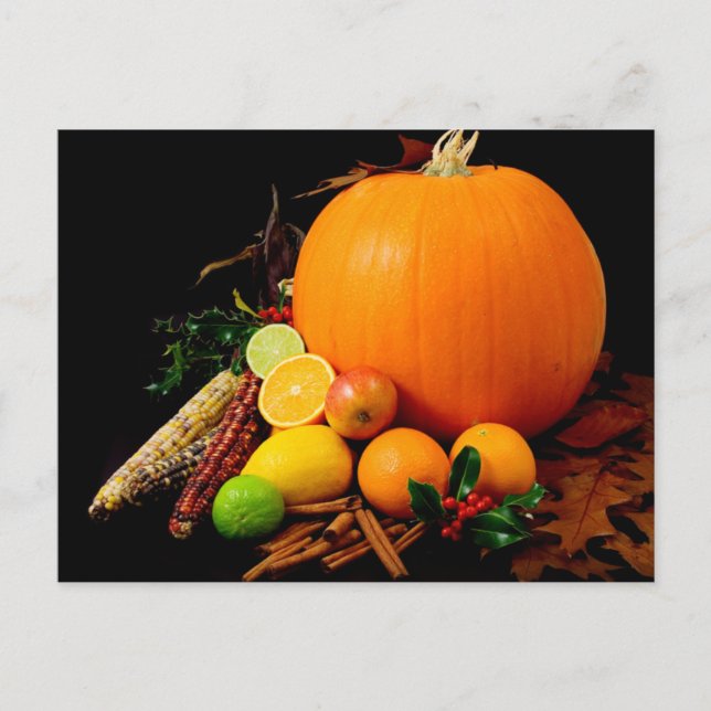 PUMPKIN CORN & FRUIT POSTCARD (Front)