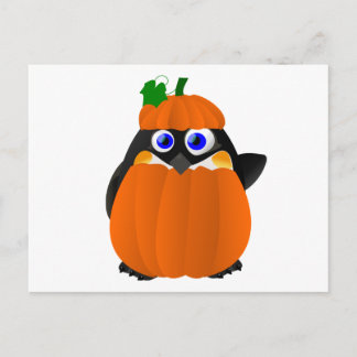 Pumpkin Costume Halloween Penguin Postcard
