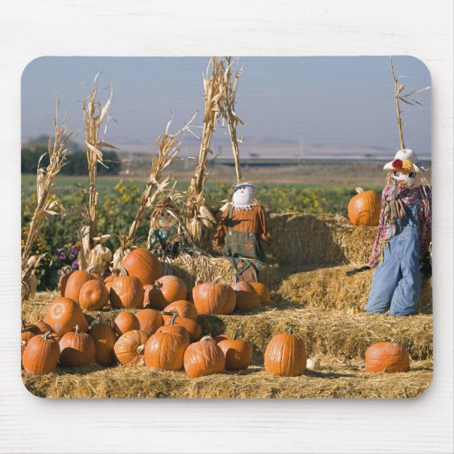 Pumpkin display with hay bales and scarecrows mouse mat (Front)