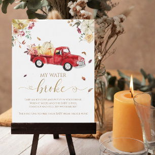 Pumpkin Fall Baby Shower My Water Broke Game Sign