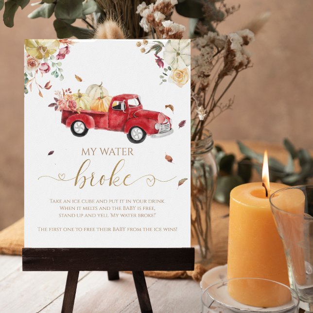 Pumpkin Fall Baby Shower My Water Broke Game Sign (Creator Uploaded)