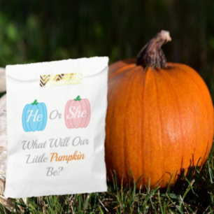 Pumpkin Fall Gender Reveal Favour Bags