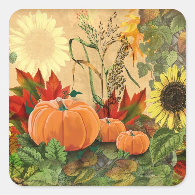 Pumpkin Fall Harvest Square Sticker (Front)