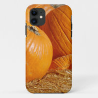 Pumpkin Fall Scene