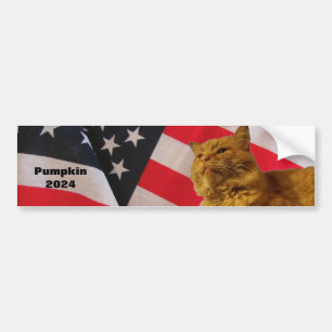 Pumpkin For President Flag Background Bumper Stick Sticker