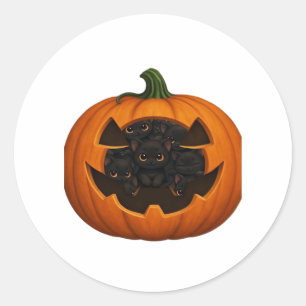 Pumpkin Full of Kittens - Cute Black Cat Halloween Classic Round Sticker