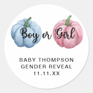 Pumpkin gender reveal classic round sticker
